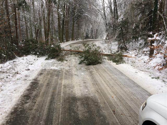 Baum- u. Fahrzeugbergung